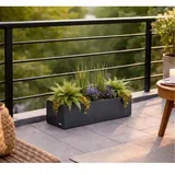 Garden Cube Balcony L | Metalna žardinjera za cvijeće | 50 L | Antracit - BRANDED IN EU