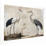  Plakat - Birds from an Old Engraving - vintage-style illustration of a heron and a crane 90x60 Bez okvira s margom | shoptok.hr