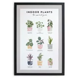 Really Nice Things Zidna slika u okviru Indoor Plants, 30 x 40 cm