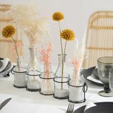 Atmosphera flaša vaza set 5x1 staklo metal (168577) | ePonuda.com