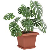  Saksije za biljke 24 pcs Crvena cigla 33 x 33 x 26 cm Plastika | shoptok.hr