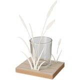 Mömax Laterna Za Svečo Nolani Ii -Paz- | Shoptok.si