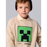 Sinsay Crewneck majica s pamukom Minecraft | shoptok.hr