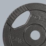 Rebel Active set utega od lijevanog željeza 4x5 kg, rupa 31 mm, ploča s ručkama | shoptok.hr