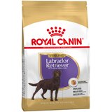 Royal Canin Labrador Retriever Adult Sterilised - 12 kg | shoptok.hr