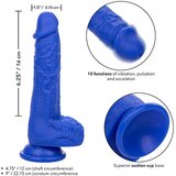 California Exotic Novelties Vibracijski penis Admiral 7 - Sailor (R14812) | Shoptok.si