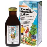 Floradix Kindervital - 250 ml | Shoptok.si