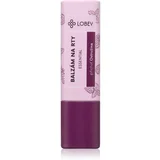 Skin Care Lip Balm balzam za ustnice odtenek Ostružina 5 g