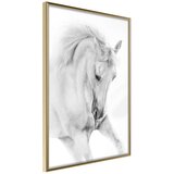  Poster - Beauty in Motion 20x30 | shoptok.hr