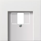 Gira sredinska plošča TAE rws-gl 0276112, (20993257) | Shoptok.si