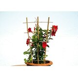 Flora World Pripomoček za plezanje Bambus (44 cm x 160 mm, Les, Rjava) | Shoptok.si
