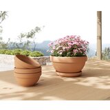 Artevasi podložak pod cvjetle tegle od terakote ø 17 cm – | shoptok.hr