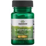 Swanson Lactobacillus plantarum 10 milijard CFU (30 kapsul) | Shoptok.si