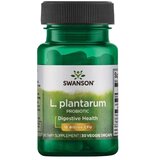 Swanson Lactobacillus plantarum 10 milijardi CFU (30 kapsula) | shoptok.hr