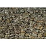 Komar Imagine Edition 3 - Stories Foto tapeta Stone Wall (8 -dij., Š x V: 368 x 254 cm, Papir)