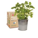 URBANSCAPE darilni komplet melisa | Shoptok.si