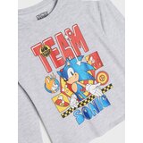 Sinsay Pamučna majica s printom Sonic the Hedgehog | shoptok.hr