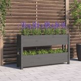 vidaXL visoka greda siva 112x25x66 cm trdna borovina | Shoptok.si