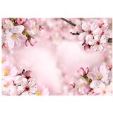  Samoljepljiva foto tapeta - Spring Cherry Blossom 392x280 | shoptok.hr
