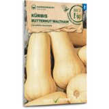 Samen Maier Bio buče "Butternut" | Shoptok.si