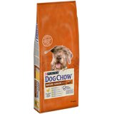 Purina Dog Chow Mature Senior piščanec - 14 kg | shoptok.hr