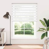 vidaXL Zebra senčilo bela 155x200 cm tkanina širina 150,9cm poliester, (22047126) | Shoptok.si