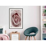  Poster - Rosebud 30x45 | shoptok.hr