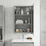  Kopalniška ogledalna omara Betonsko siva 30 x 10,5 x 50 cm, (5000232845) | Shoptok.si