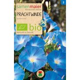 Samen Maier BIO Morning glory Cene