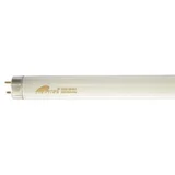 Fluo cev 15W T8 za lampu za uništavanje štetnih insekata UV-A
