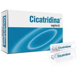 Dr.Werner Pharma Vaginalete Cicatridina, 10 komada Cene