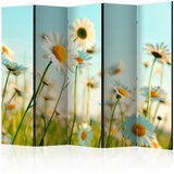 Artgeist PARAVAN 225/172/3 cm svetlo modra, svetlo zelena | Shoptok.si