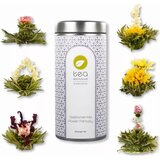 tea exclusive Mix cvjetajućih čajeva "Flower Fantasy" - 6 cvjetova čaja Cijene