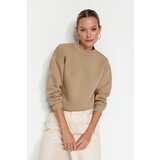 Trendyol Mink Thick, Fleece Inside, Standing Collar Relaxed/Comfortable, Knitted Sweatshirt Cene