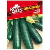 ROYAL SEEDS Sjeme povrća MAXI HOBBY 102 TIKVICA DIAMANT F1 | shoptok.hr