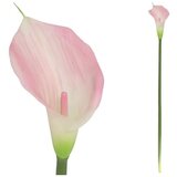  CVIJEĆE KALA 72 CM ROZA PVC Cijene