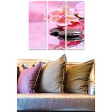 Wallity Set slika MDF39502773, 3 dijela | Eponuda.ba