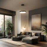  Brilagi - LED prigušiva viseći luster na sajli FALCON II LED/67W/230V prečnik 40 cm crna + daljinski upravljač | Eponuda.com