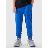4f Boys' sweatpants | shoptok.hr