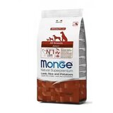 Monge hrana za pse sa jagnjetinom, pirinčem i krompirom 2.5kg | ePonuda.com