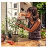 Gardena Vrtne makaze FreshCut GA 12242-20 | ePonuda.com