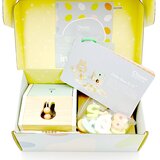 Classic World Pastel drveni set prvih edukativnih igračaka, 25 dijelova, 12–18 mjeseci | shoptok.hr