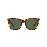 POLO naočare za sunce ph 4201U 607871 | ePonuda.com