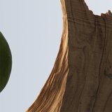Hugo Boss boss Bottled parfemska voda 100 ml za muškarce | shoptok.hr