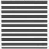 vidaXL Zavjesa zebra crna 145x100 cm širina tkanine 140,9 cm poliester Cijene