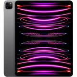 Apple 12.9-INCH IPAD PRO WI-FI (6TH) 256GB SPACE GREY | Shoptok.si
