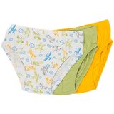 Lucky Kiddo spodnje hlače slip 3 kosi LK-BS2 223 020656 F zelena 122/128 Cene