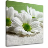  Zidna slika CVIJEĆE 30x30 cm Cijene