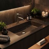REA Bath Niska miješalica za umivaonik Rea Foster od četkanog nikla | shoptok.hr