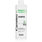 Delia Cosmetics Cameleo Volume & Strengthening šampon za volumen za nježnu kosu 400 ml Cijene